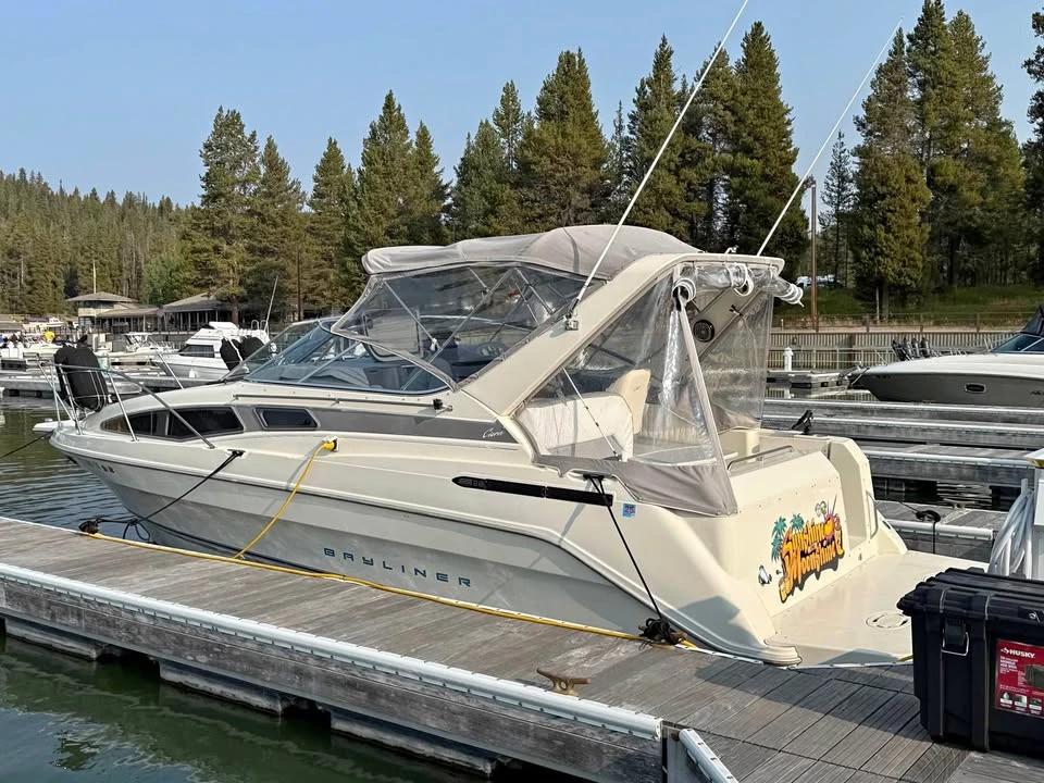 1996 Sierra Sunbridge 2855