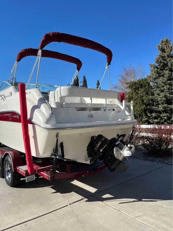 1995 Searay Sundancer 250 250 Sundancer