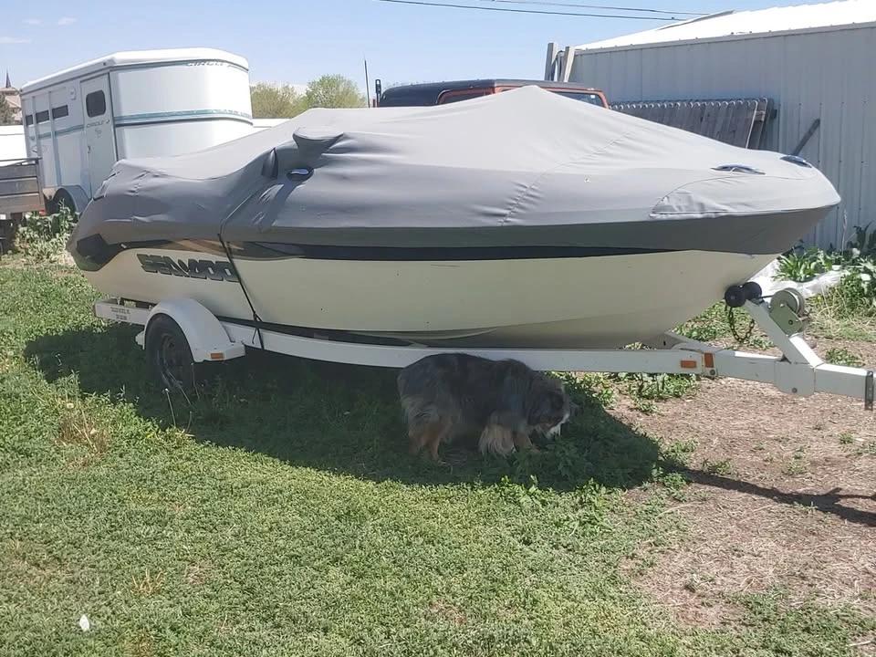 2001 Sea-Doo Challenger 1800