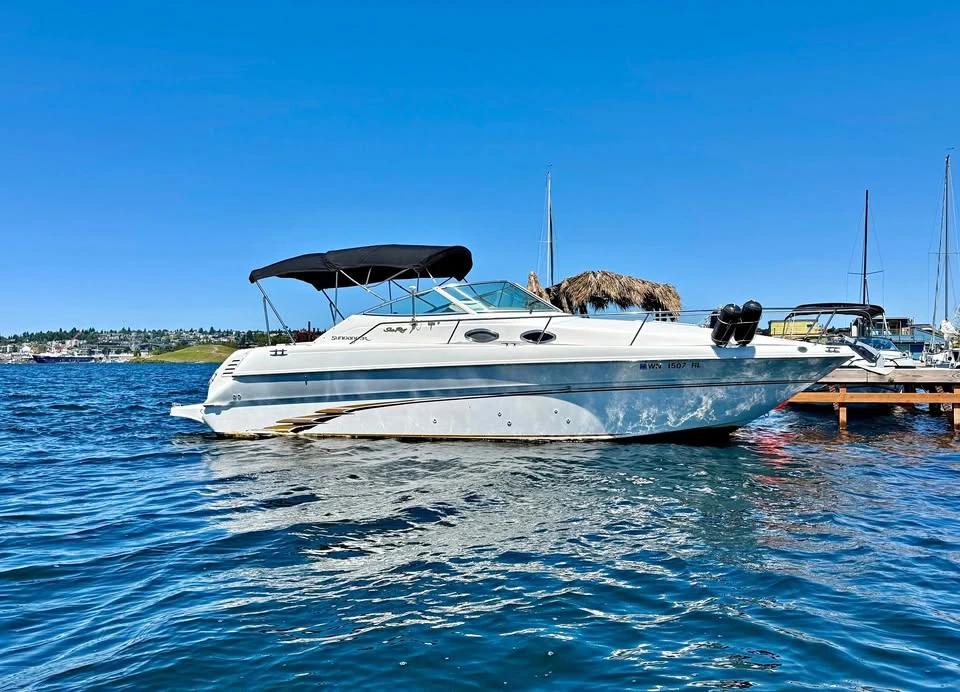1999 Sea Ray sundancer 270 Sea Ray 270