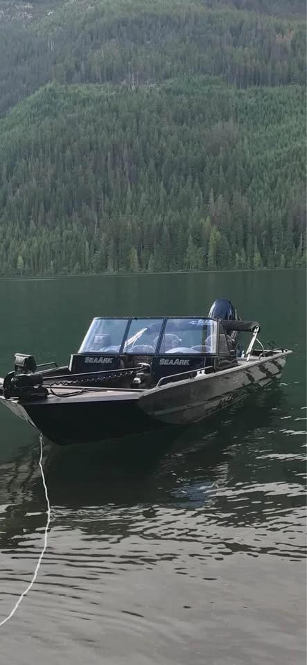 2018 SeaArk ProCat 240