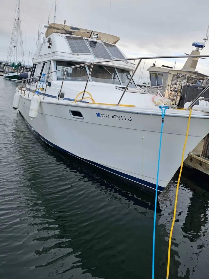 1987 Bayliner 3217 3288 3288 Motor Yacht